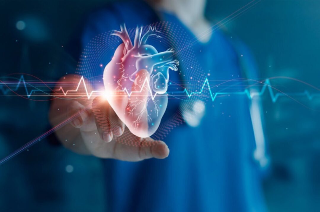 Fibrilação Atrial: tratar e compreender não é um bicho de sete cabeças